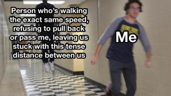 43 Of The Best Damn Photos On The Internet This Afternoon