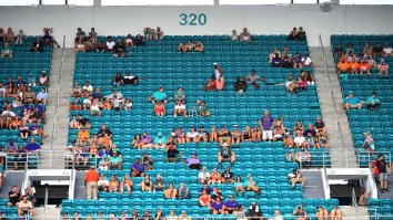 Tickets For This Weekend’s ‘Tank Bowl’ Game Between The Redskins And Dolphins Selling For Less Than Tickets To Local Miami Zoo