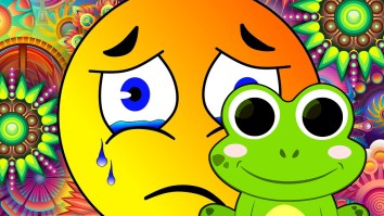 The Latest Stupid Drug Craze Is Illegal Psychedelic Toad Venom That Makes You Cry Like A Baby