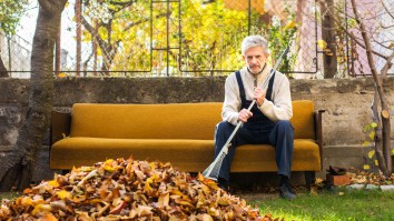 Science Explains The Reason Why Raking Leaves Is For Suckers