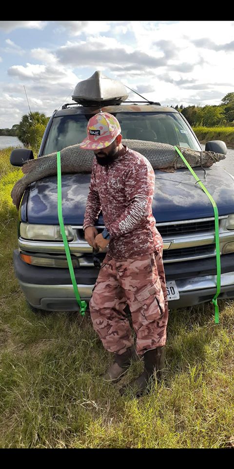 7-foot 200-pound alligator gar caught kayak fishing in South Texas