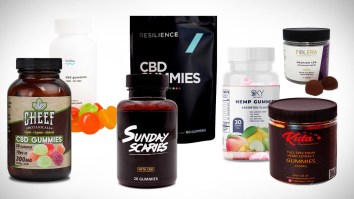 The 12 Best CBD Gummies Currently On The Market