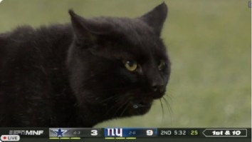 The Dallas Cowboys Announced The ‘Monday Night Football’ Black Cat As One Of Their Starters Against Minnesota Vikings