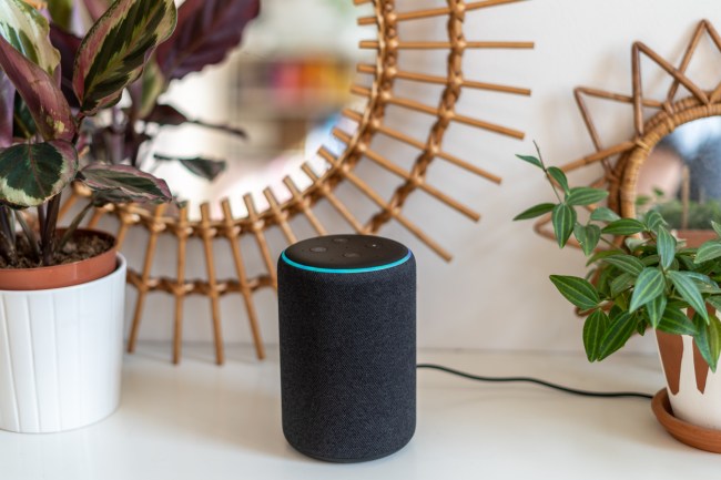 Amazon In Trouble After Alexa Tells Kid To Electrocute Herself
