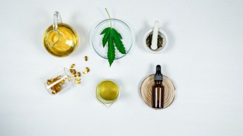 The Benefits And Effects Of CBD On Your Stomach