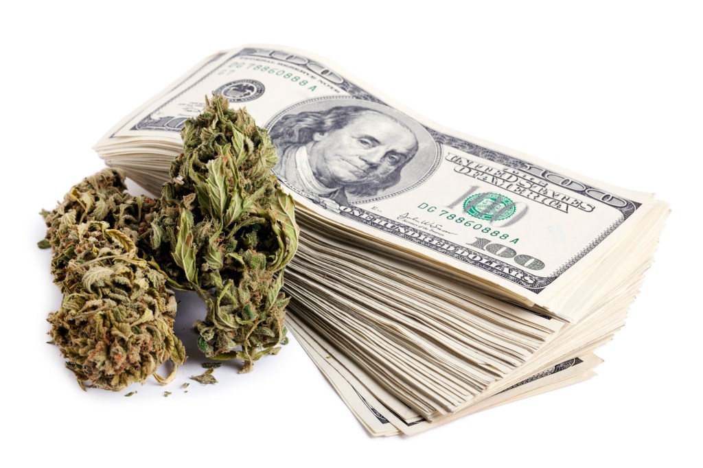 cannabis weed marijuana and cash money