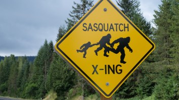 It Sure Looks Like Bigfoot Was Spotted On This Traffic Camera In Washington