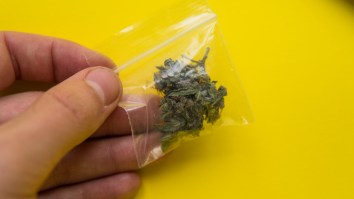Doctors Remove A Bag Of Weed That Was Stuck In A Man’s Nose For 18 Years