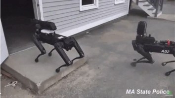 Massachussetts Police Secretly Used Robot Dogs For Three Months So The Countdown To The Robot Uprising Has Begun