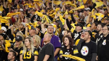Players React To Steelers Fans Cucking The Cardinals By Taking Over Their Stadium