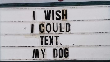 50 Of The Best Damn Photos On The Internet Today