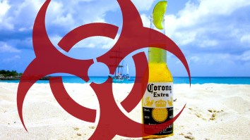 An Alarming Number Of People Are Searching Google For Corona Beer Because They Think It’s Tied To The Coronavirus