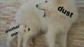 50 Of The Best Damn Photos On The Internet Today