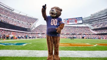 Chicago Bears’ Twitter Account Gets Hacked, Falsely Announces New Ownership