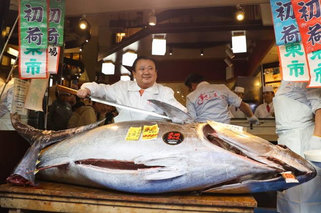 record Bluefin tuna Toyosu fish market Japan