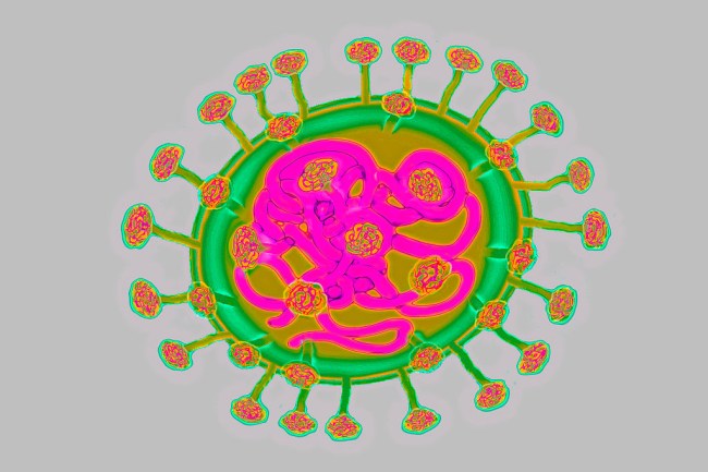 First case of coronavirus identified in the United States by the CDC.