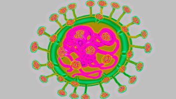 First Case Of Chinese Coronavirus In US Confirmed By CDC, New Evidence The Disease Is Transmitted From Human To Human