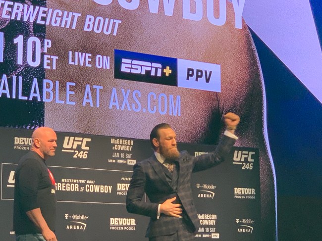 Conor McGregor UFC 246