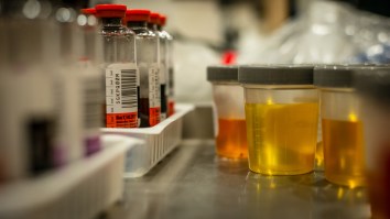 Can You Pass A Drug Test With Animal Urine?