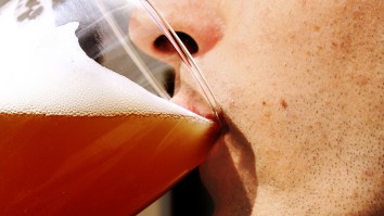 The Guy Who Registered Beer As An Emotional Support Animal Is Truly A Real Man Of Genius