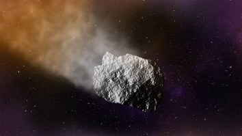 Head For The Bunker, NASA Is Tracking A Giant Asteroid On Earth ‘Approach’