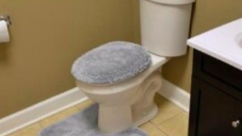 What Sort Of Monster Puts A Shag Carpet Cover On Their Toilet Lid?