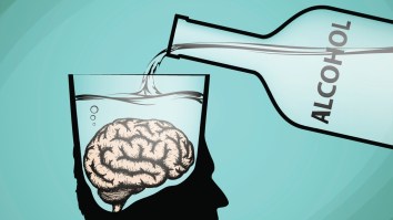 Does Alcohol Really Kill Brain Cells Dead?