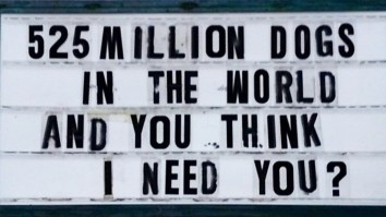 50 Of The Best Damn Photos On The Internet Today