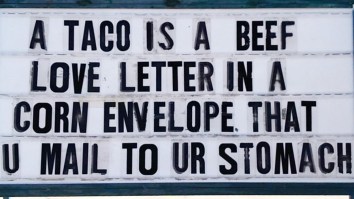 50 Of The Best Damn Photos On The Internet Today