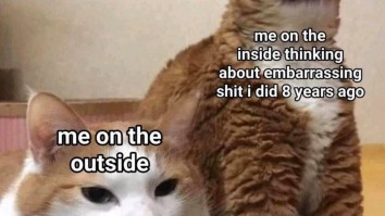 50 Of The Best Damn Photos On The Internet Today