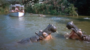 Boat On Jungle Cruise Ride Sinks At Disney World, Here Is A Video With ‘Titanic’ Music