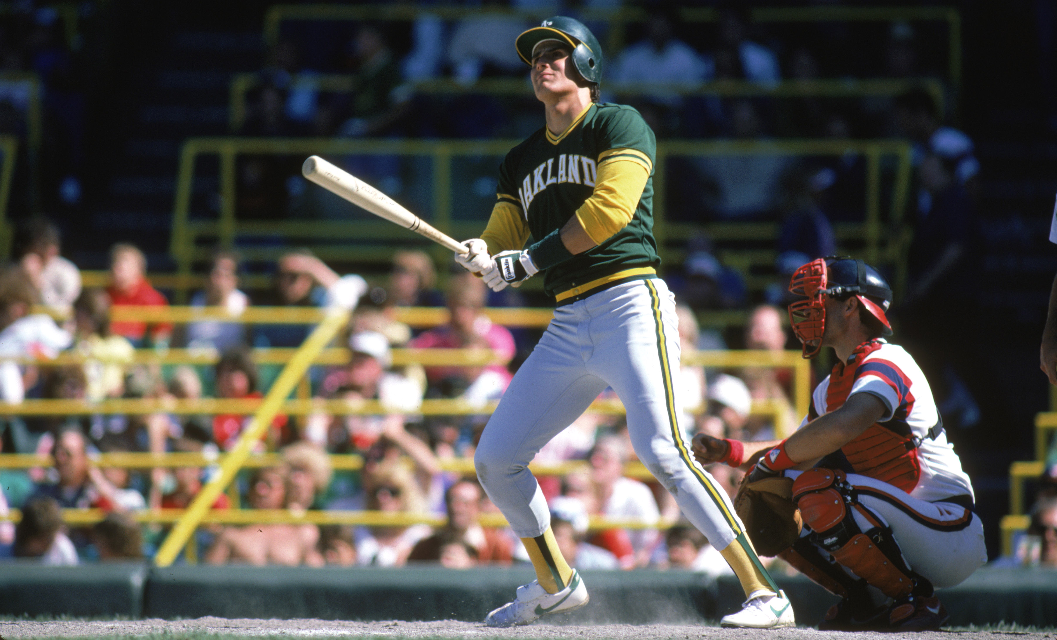 Jose Canseco is getting back in baseball as a television analyst