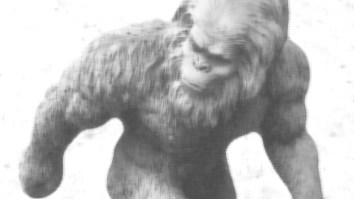 The Mystery Of Bigfoot Spotted On A Traffic Camera In Washington State Has Been Solved, Maybe