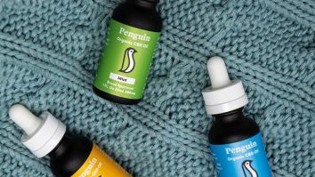 The 3 Best CBD Oils – Our Top Picks For 2020