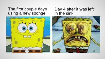 50 Of The Best Damn Photos On The Internet Today