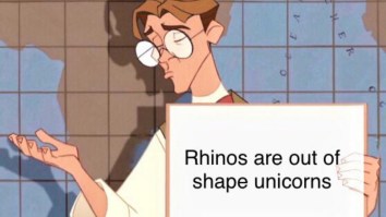 50 Of The Best Damn Photos On The Internet Today