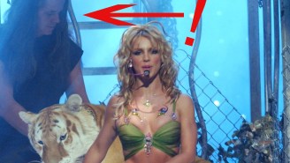 Britney Spears Has Ties To The Controversial Doc Antle Of ‘Tiger King’ And Her Fans Are Shook