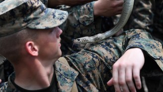 US Marines Learning Survival Skills In Thailand Are Taught To Drink Cobra Blood And Eat Scorpions