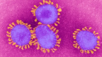 Coronavirus Could Cause Male Infertility