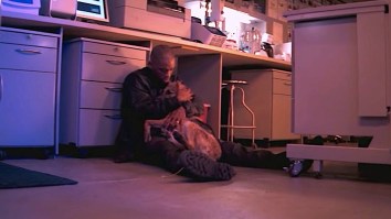 The Dog Scene From ‘I Am Legend’ Is The Saddest Movie Scene I’ve Ever Watched