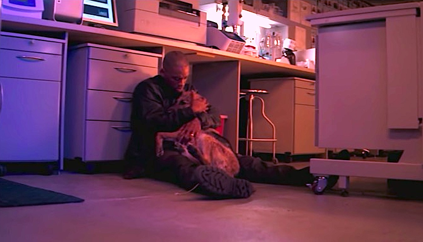 The Dog Scene From 'I Am Legend' Is The Saddest Movie Scene I've Ever