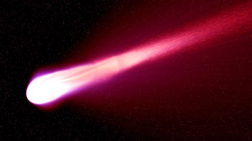 First Images Of ‘Potentially Hazardous Asteroid’ On Earth Close Approach Revealed; How To Watch It Fly By