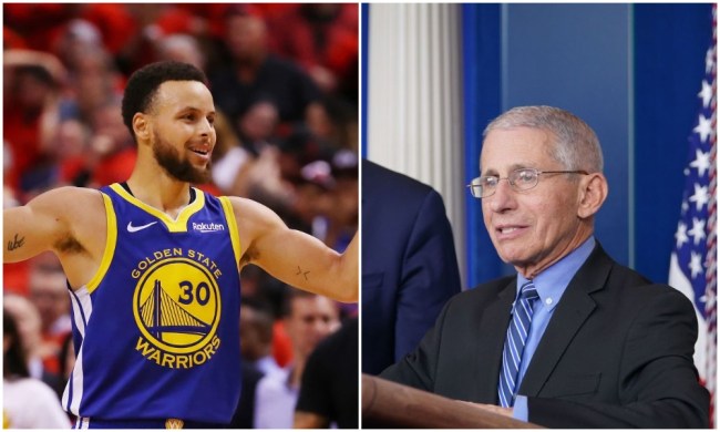 steph curry interview dr fauci