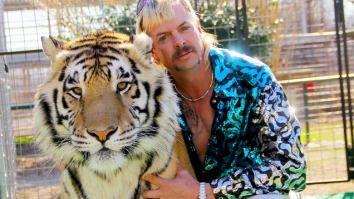 A Special Featuring A Never-Before-Seen Interview With Joe Exotic Will Examine The Fate Of The Animals Rescued From His Former Zoo