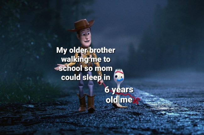 50 best damn memes older brothers