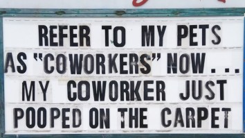 50 Of The Best Damn Photos On The Internet Today