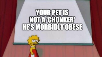 50 Of The Best Damn Photos On The Internet Today