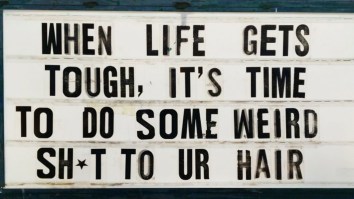 50 Of The Best Damn Photos On The Internet Today