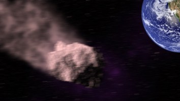 Did You Feel That? 4 Asteroids Just Buzzed Earth, One Only A Third Of The Distance From Here To The Moon