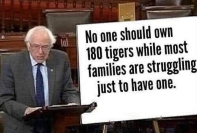 50 best damn photos tiger king memes